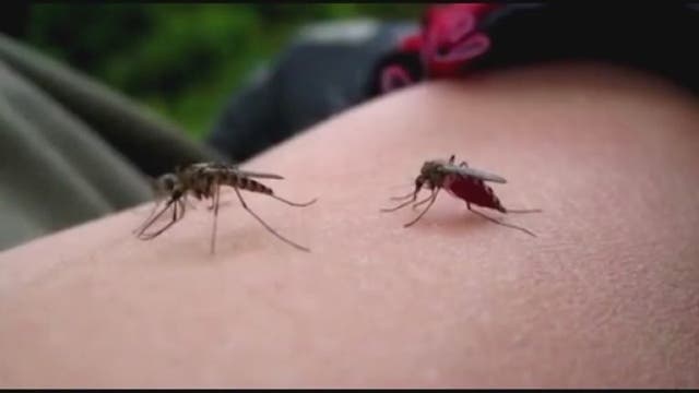 1st case of West Nile Virus found in Oakland County man