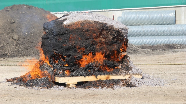 Guinness World Record for largest Lint Ball rolled in Farmington Hills