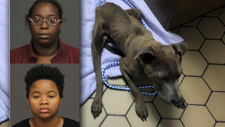 5c1d40ee-2 CHARGED MALNOURISHED DOG_1568663910018.jpg.jpg