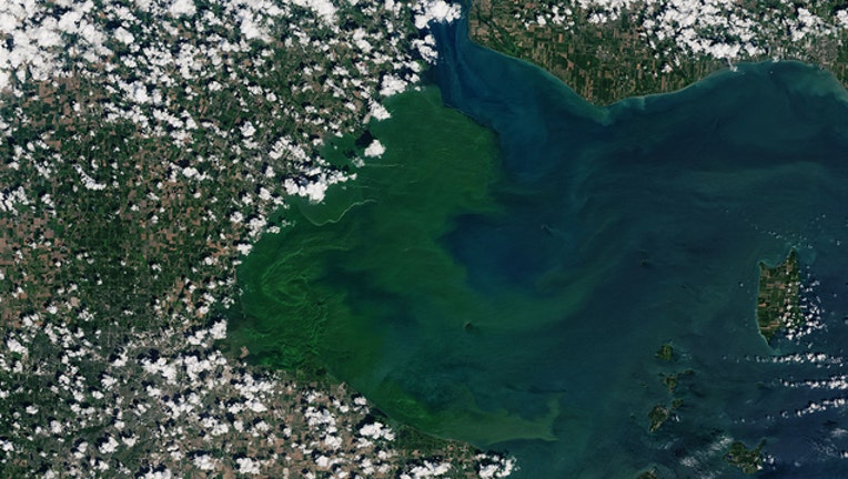 fe29069b-wjbk_Lake Erie Algal Bloom_081619_1565976709356.jpg.jpg