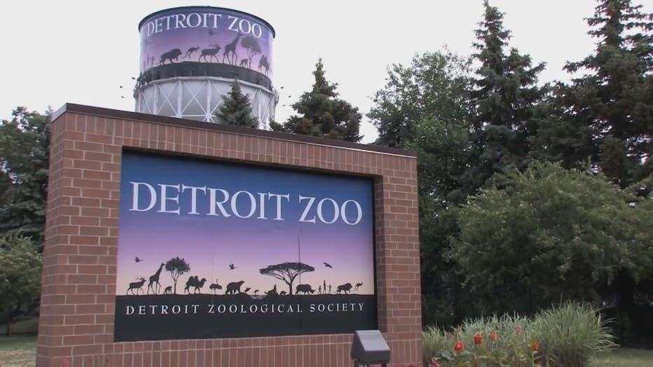 Detroit Zoo To Reopen To Members On June 8 As Part Of Four-day Soft ...