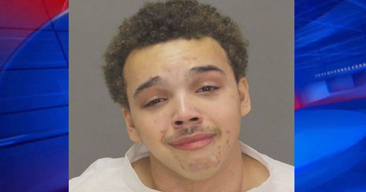 Westland teen charged with murder after noise complaint stabbing | FOX ...