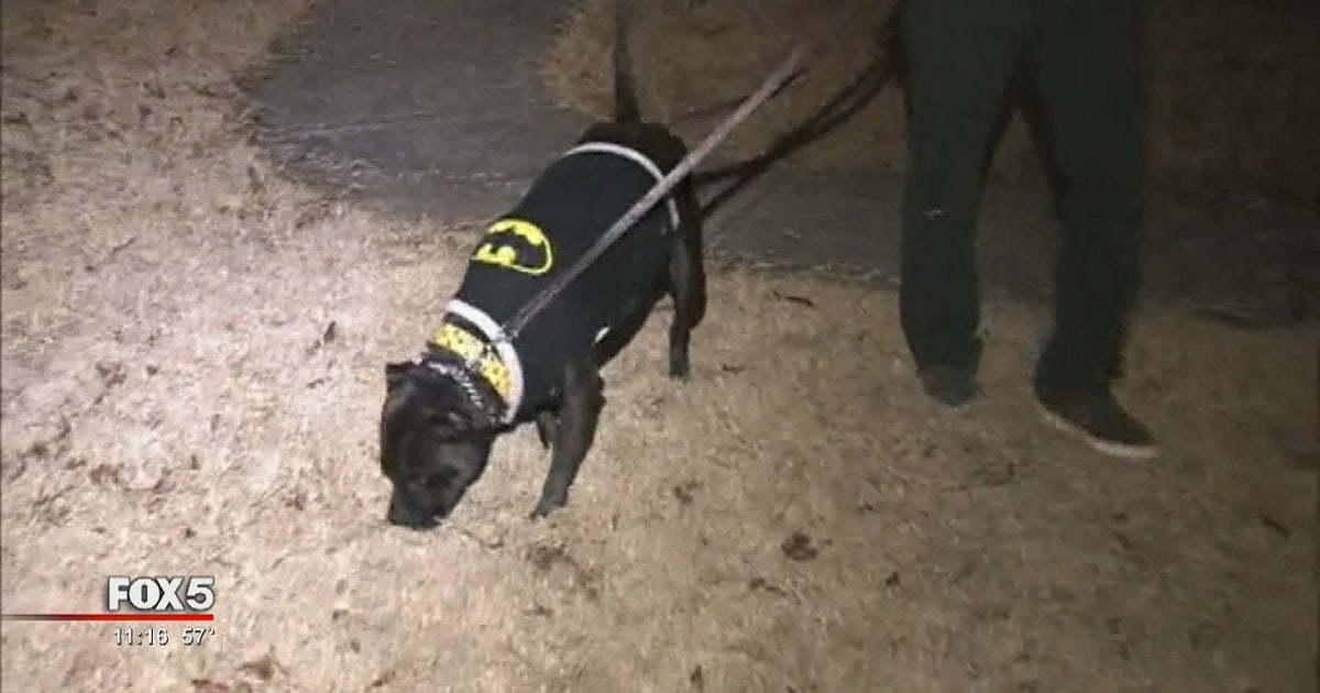 Dog credited with helping missing woman | FOX 2 Detroit