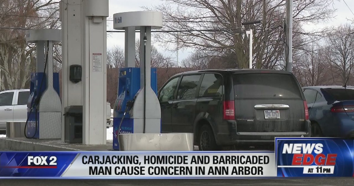 Suspect who led Ann Arbor cops on chase is latest incident in rash of ...