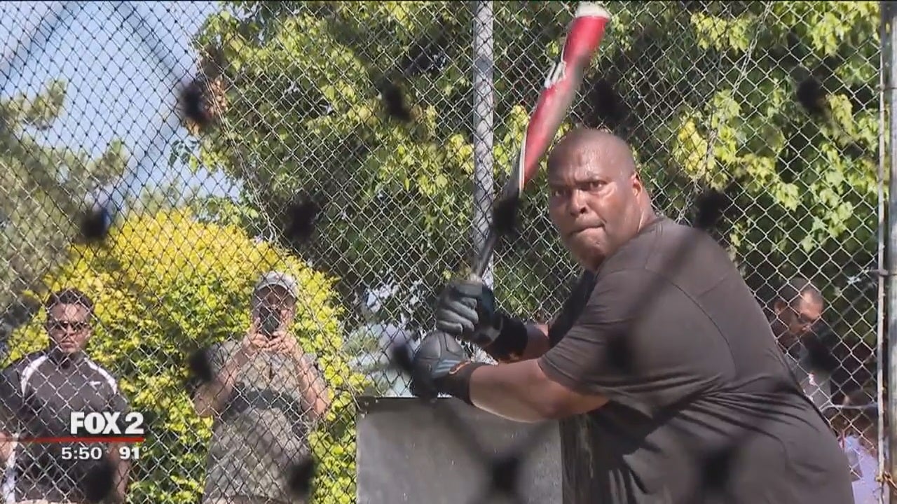 Stanley anderson batting cage Clearance