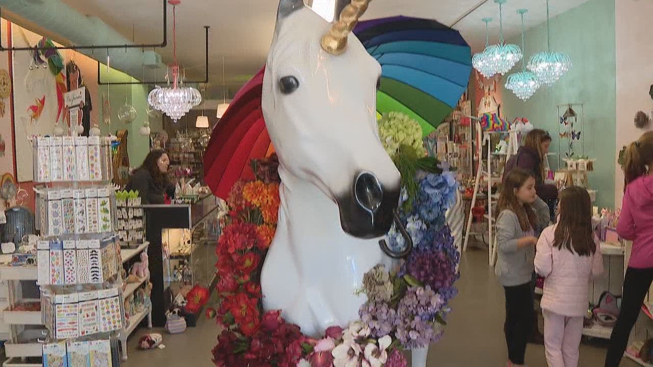 Unicorn-themed gift shop in Ypsilanti becomes most magical place in ...