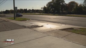 12-year-old hit, killed while crossing Telegraph near Ford Road