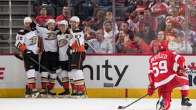 Red Wings unbeaten streak snapped, fall 3-1 to Ducks