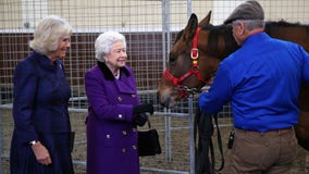 The Queen is hiring someone to live at Buckingham Palace and look after her horses