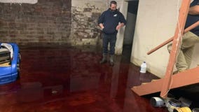 Family's basement fills with 5 inches of animal blood