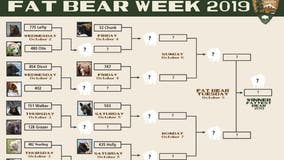 Alaska’s Katmai National Park & Reserve kicks off annual 'Fat Bear Week'