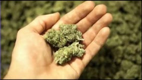 It's now legal to buy recreational pot in Michigan, but it's only for sale in three cities