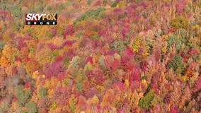 Michigan's insane fall colors have arrived in all their glory