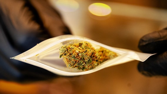 Michigan pot sales totaled $341 million in 2020 - see where it benefits the state