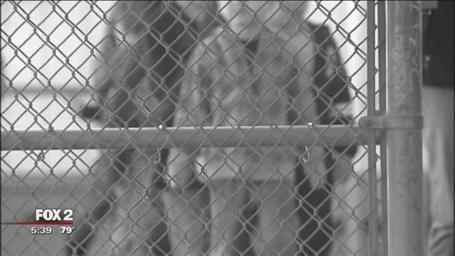 Bullying prevention programs are available to let students come forward