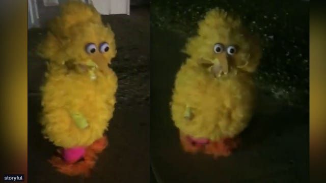 Montana boy's feathery handmade Big Bird costume is a hit on social media
