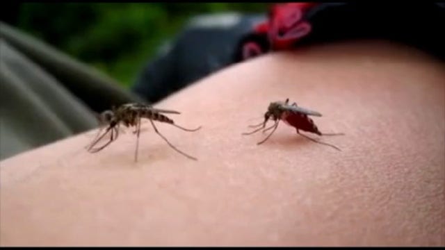 West Nile virus found in Wayne County - what you should know
