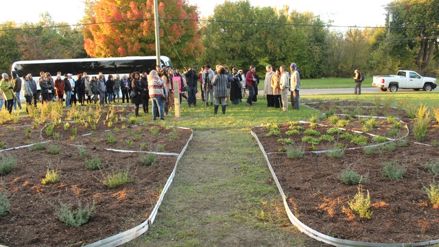 "Just scratching the surface;" how Detroit's vacant land problem became a solution