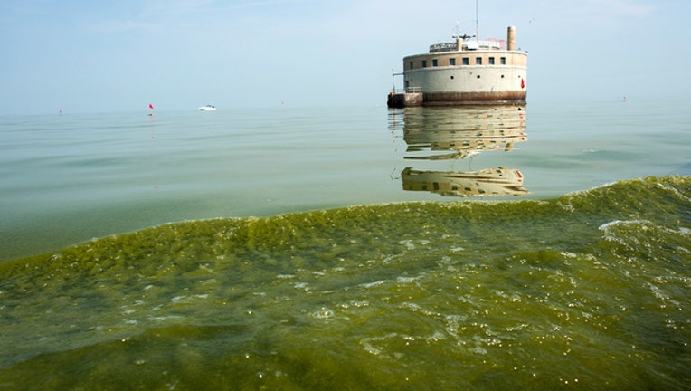 ec6fece6-wjbk_Algal bloom generic_071119_1562862096307.jpg.jpg