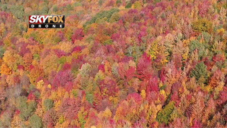 Michigan S Insane Fall Colors Have Arrived In All Their