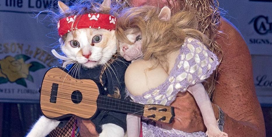 Cats win Halloween costume contest dressed as Dolly Parton Willie Nelson FOX 2 Detroit