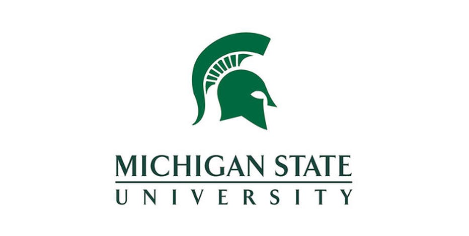 Image result for msu