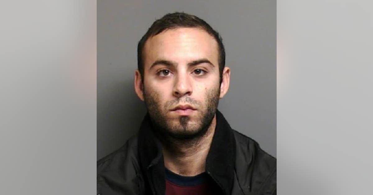 Macomb Twp. man arrested after confessing to stealing, hurting 10-pound ...
