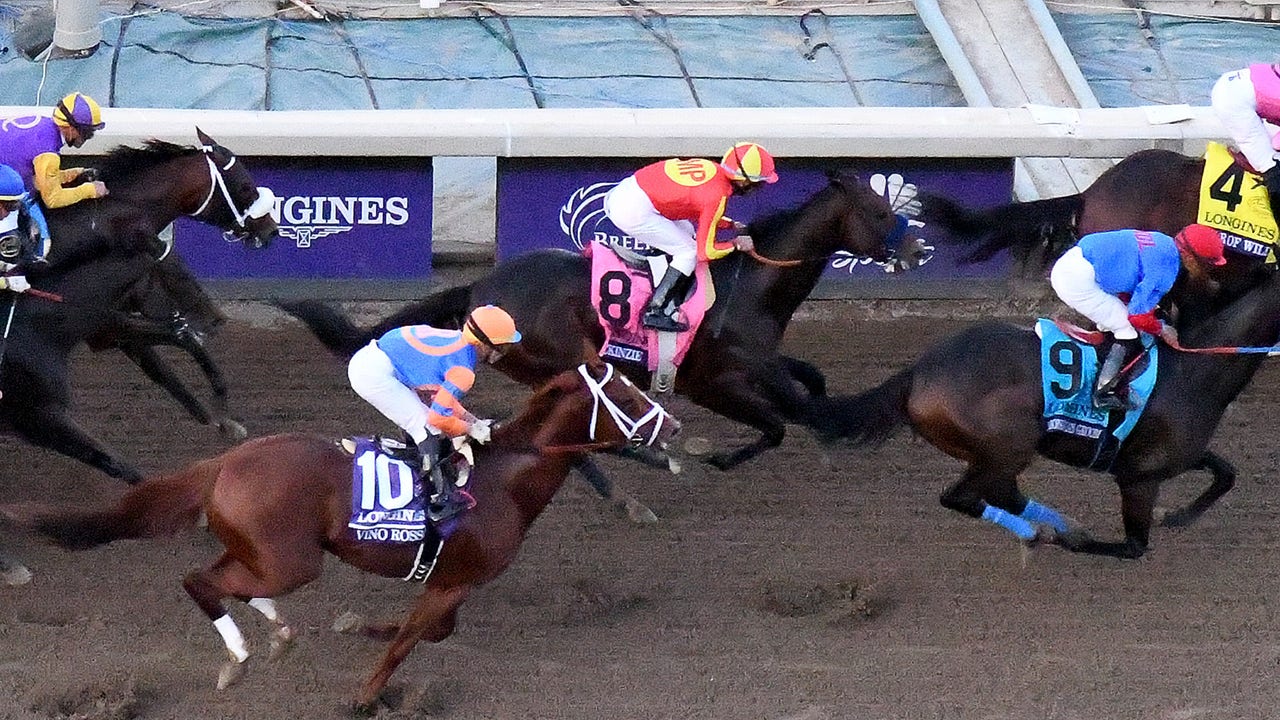 Horse euthanized after injury at Breeders' Cup Classic, 37th horse