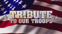 Tribute to Our Troops: Salute