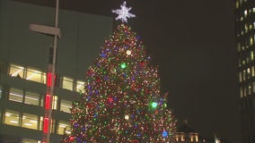 Campus Martius Detroit tree arrives Wednesday