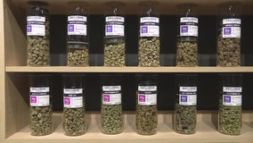 Recreational marijuana sales get green light earlier than expected for Dec. 1