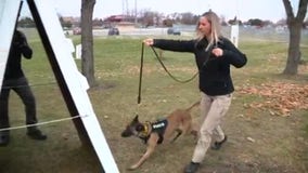 Widow of slain deputy finds new hope in police K9 assisted therapy