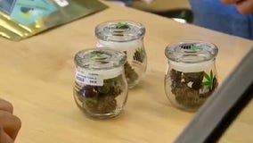 Allen Park among 4 metro Detroit cities voting whether to allow businesses to sell marijuana