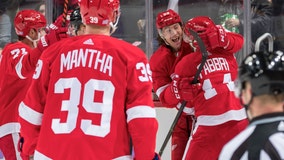 Fabbri scores twice in debut, Red Wings beat Bruins