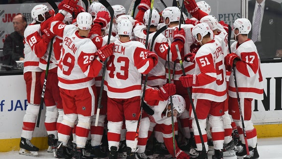 Cholowski scores in OT, Red Wings rally past Ducks