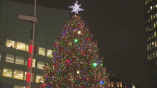 Campus Martius Detroit tree arrives Wednesday