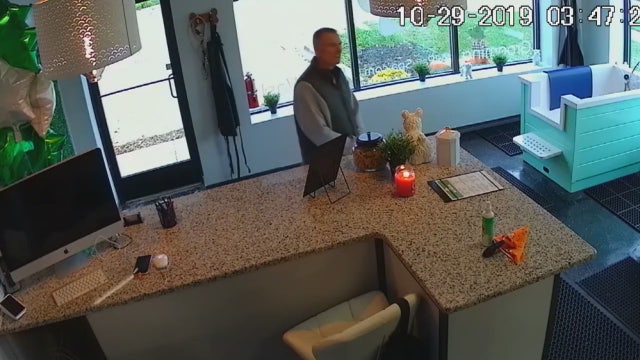 Man robs All Paw Spa in Ferndale, only open a month