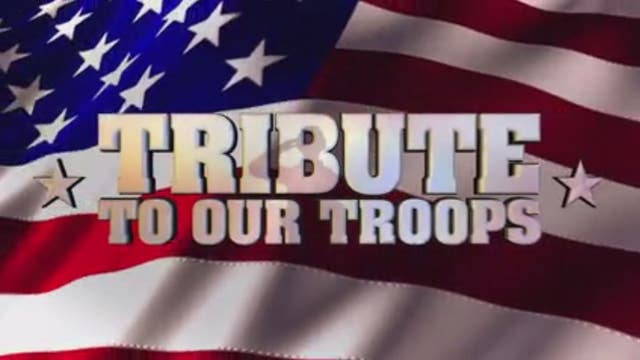 Tribute to Our Troops: Salute