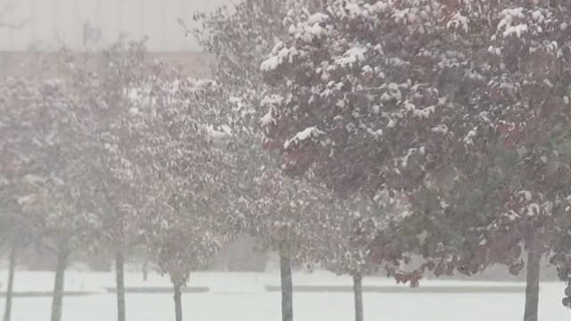 Bitter cold wind chills in Metro Detroit