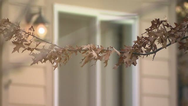 Son, stepfather get into shootout at Warren condo, injuring mother