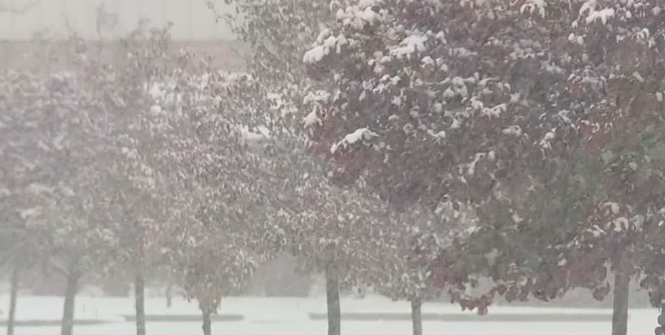 Bitter cold wind chills in Metro Detroit