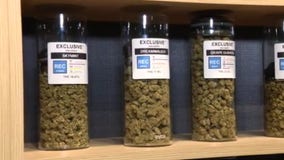 Adult-use recreational pot sales totaled $221,000 on first day of businesses