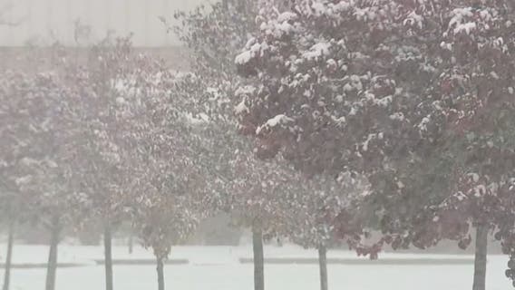 Detroit area schools close and cancel events during Saturday's snow