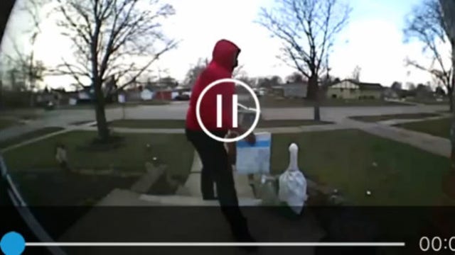 Suspected serial porch pirate caught on camera in Allen Park
