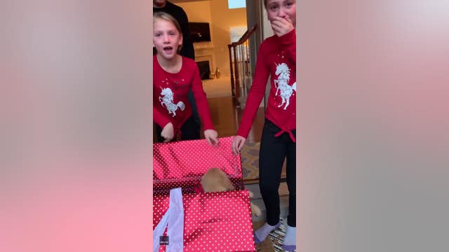 Oakland County sisters explode with joy when Christmas wish for new puppy comes true