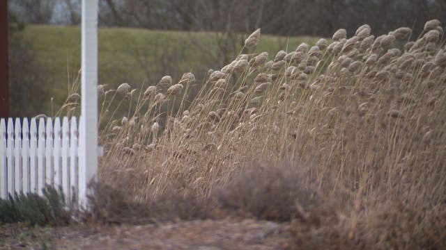 Metro Detroit weather: Wind Advisory remains in effect, but threat for severe weather has passed