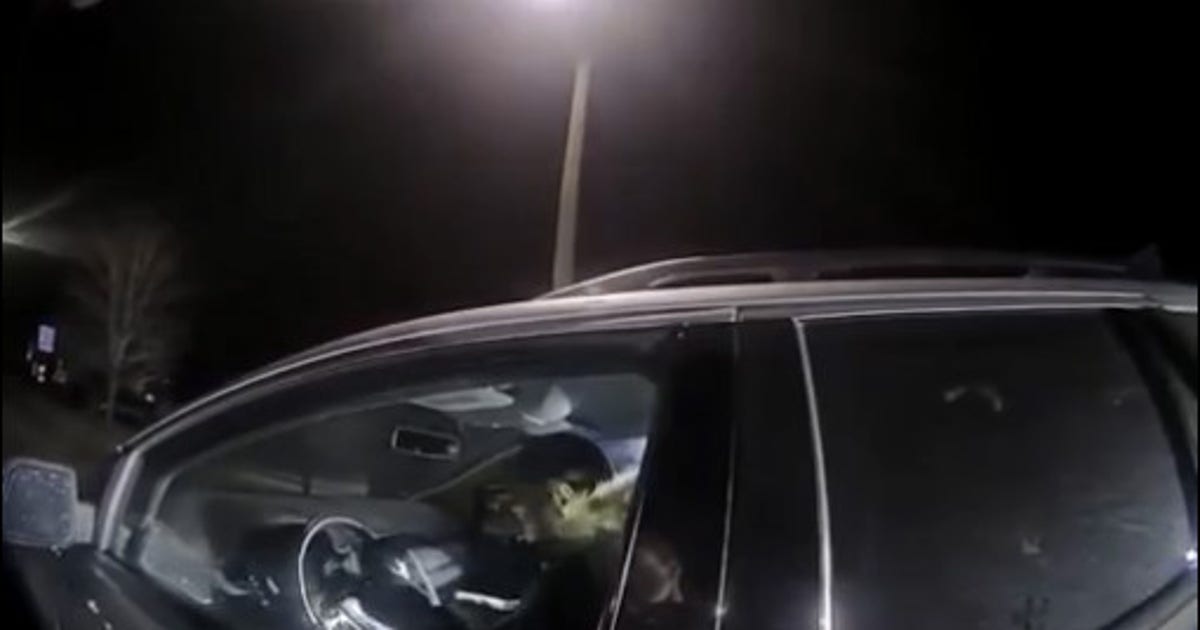 Suspected drunk driver leads Ferndale police on chase before crashing ...