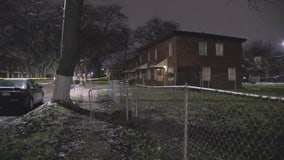 Police investigate two more violent deaths in River Rouge