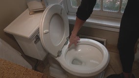 Replacing a toilet seat with Jill of All Trades