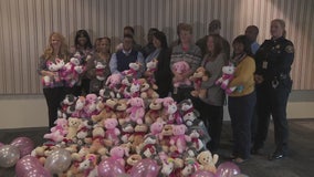 DPD reports: Operation Bear Hug was a success - an 850 stuffed bear success